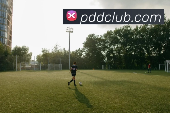 数据防护可视化